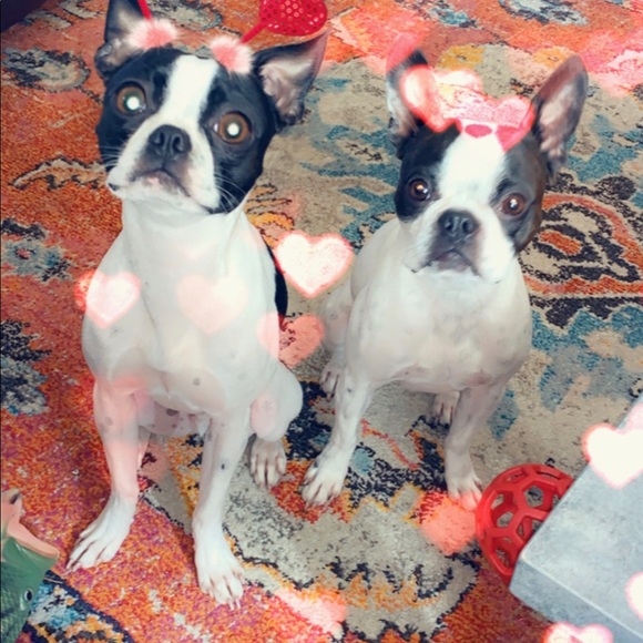 Meet your Posher, Lisa - Picture 4 of 5